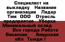 Специалист на выкладку › Название организации ­ Лидер Тим, ООО › Отрасль предприятия ­ Уборка › Минимальный оклад ­ 28 050 - Все города Работа » Вакансии   . Амурская обл.,Тында г.